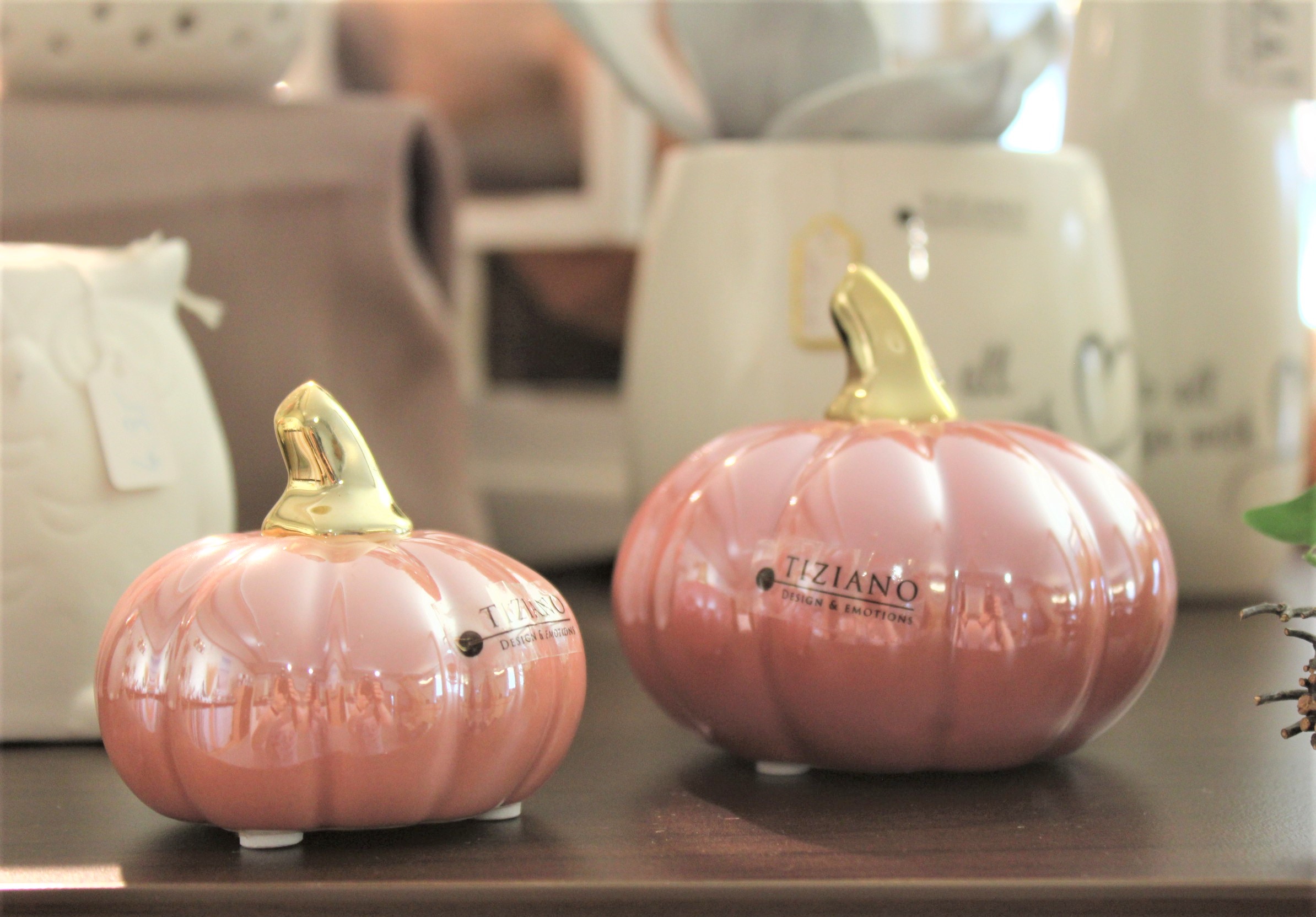 Tiziano Minikürbis Boglia glory pink/red plum