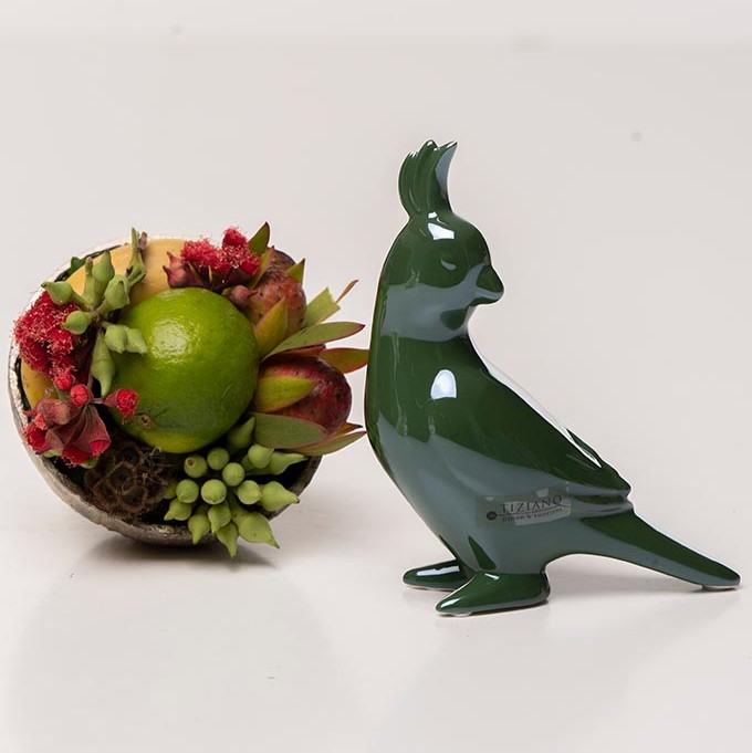 Papagei Eraldo Kopf zurück aurora von Tiziano