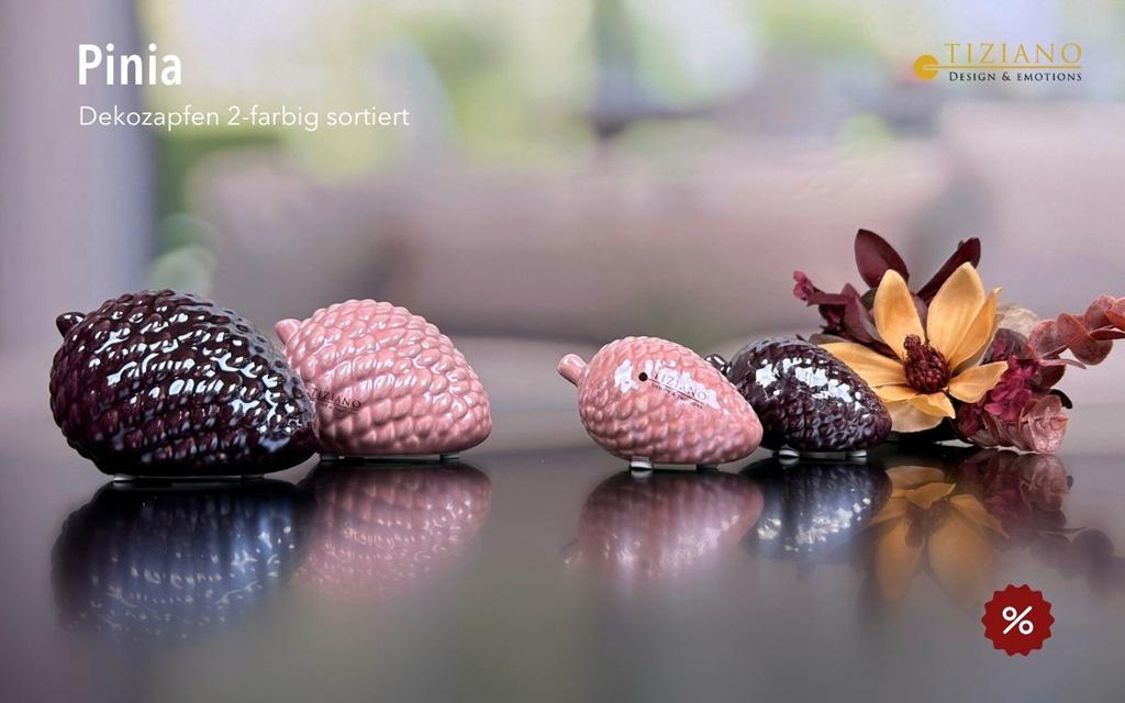 Tiziano Zapfen Pinia liegend glory pink 795401-8